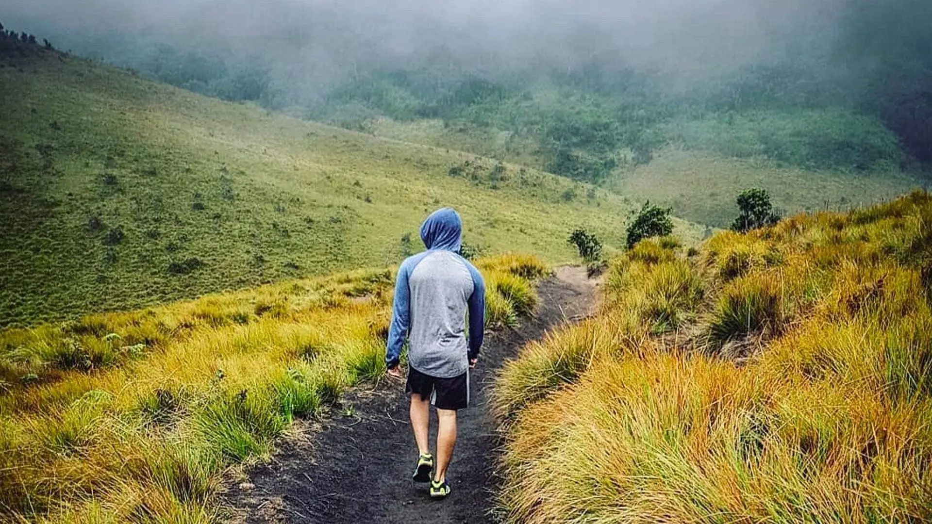 Horton Plains