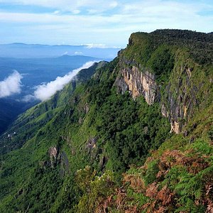 Ohiya